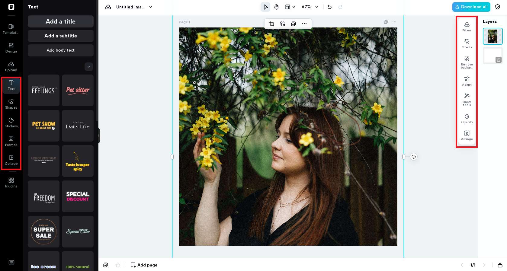 Comprehensive image editing options