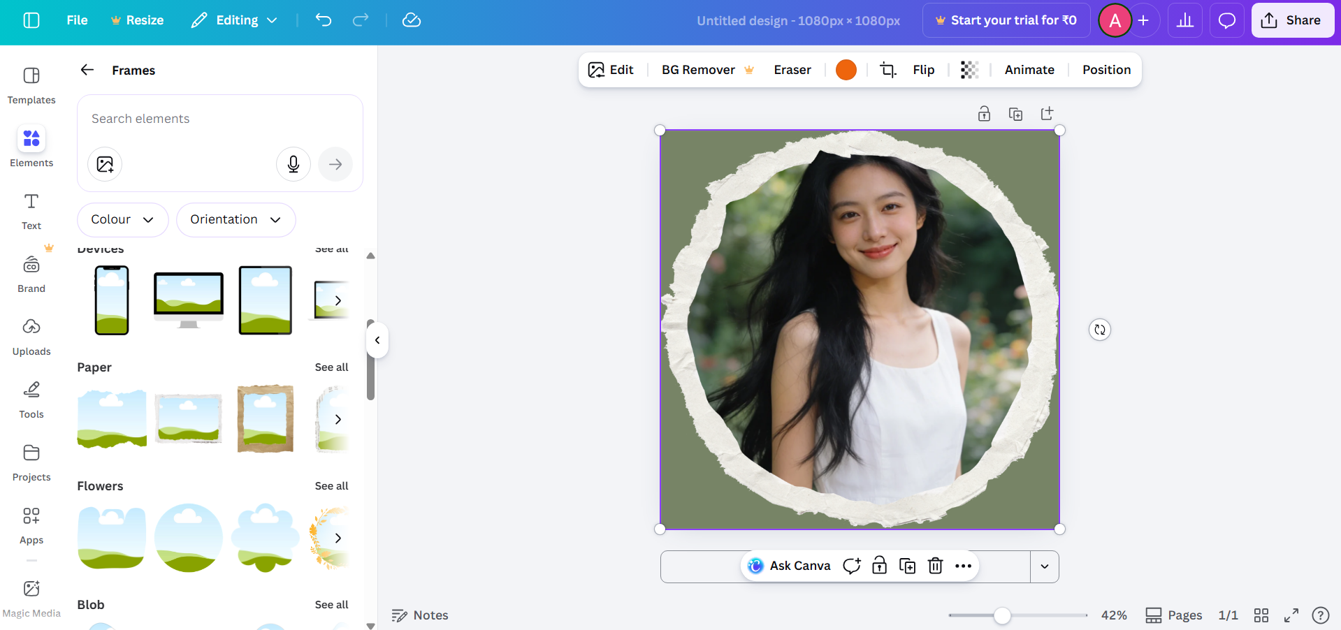 Canva interface