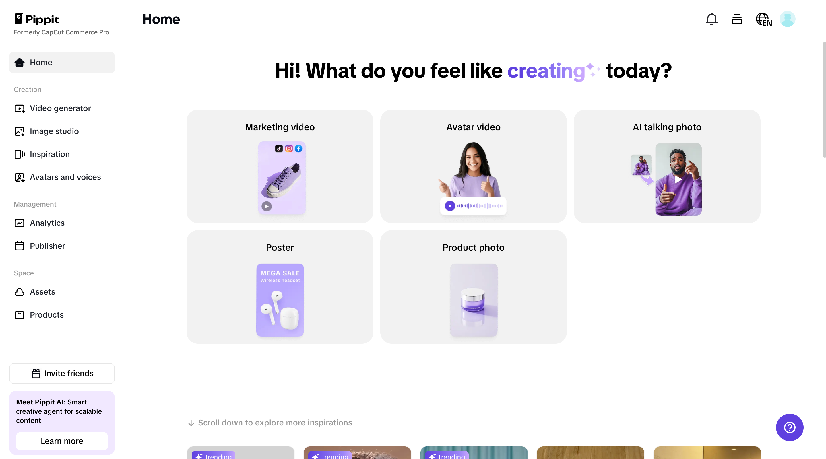 Pippit homepage