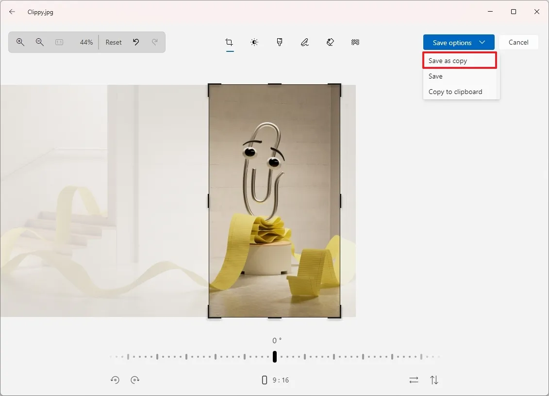 Save the cropped image windows