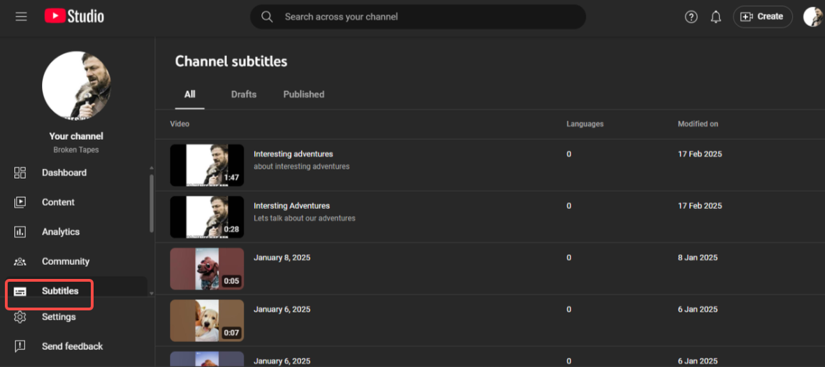 YouTube Subtitles interface