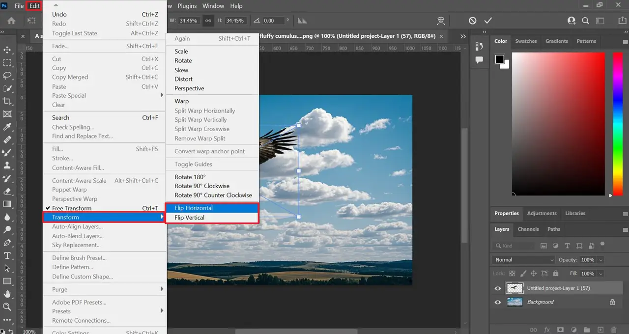 Open the Transform options