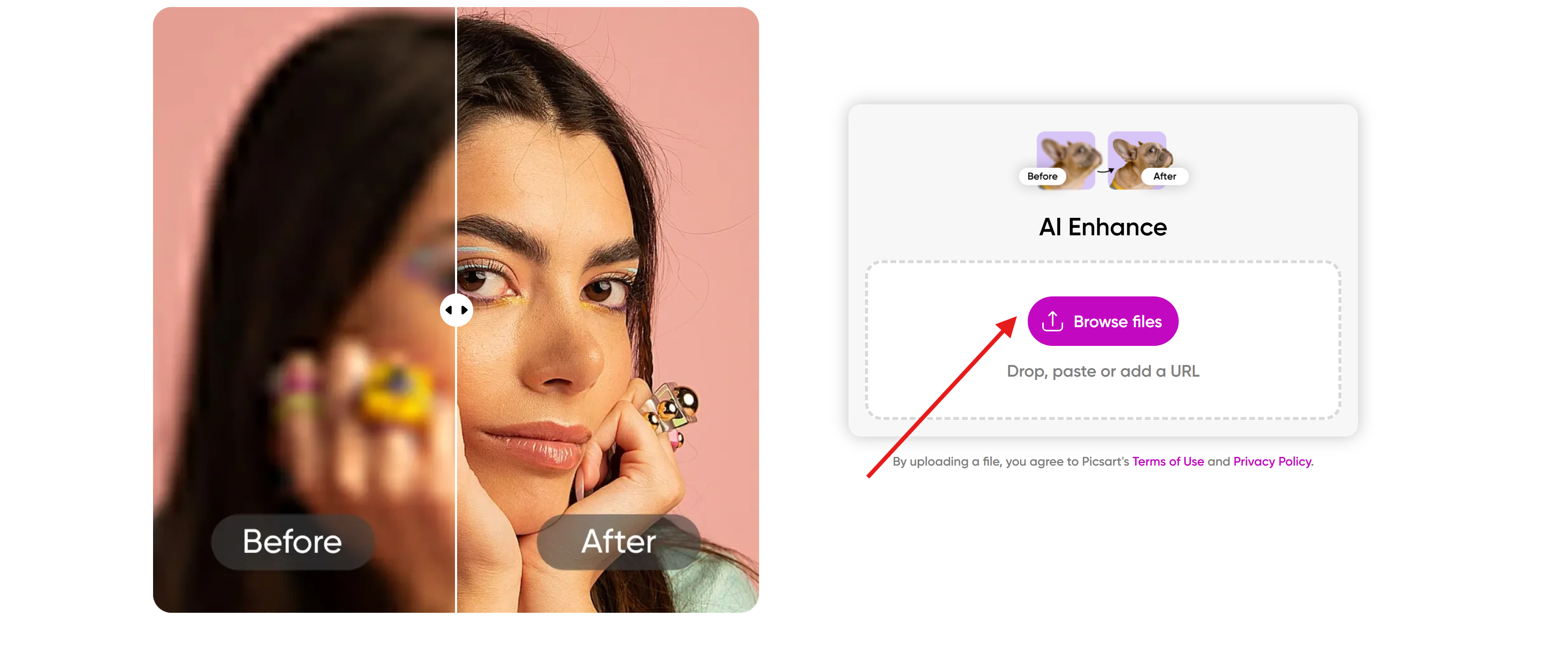 Özgeçmiş için profesyonel fotoğraf
