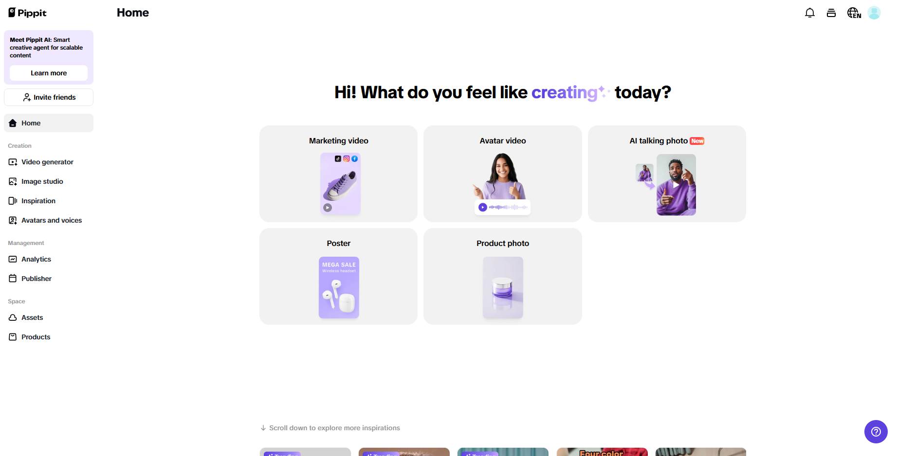 Pippit interface
