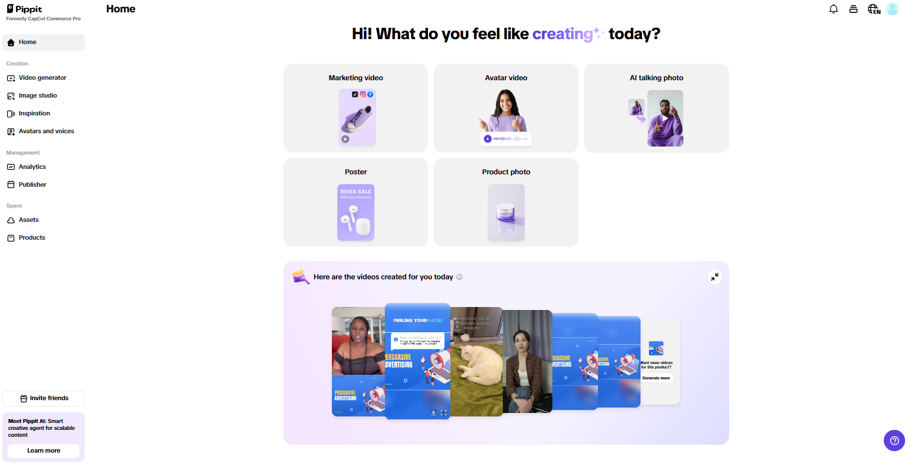 Pippit interface