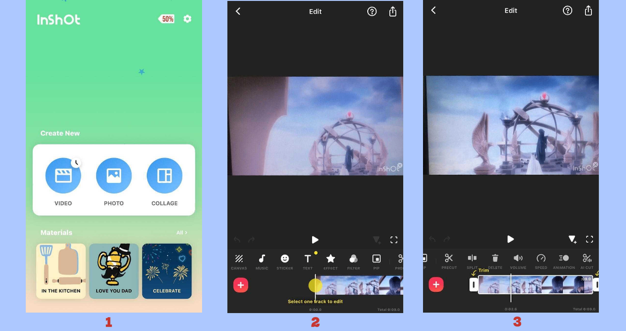 InShot app