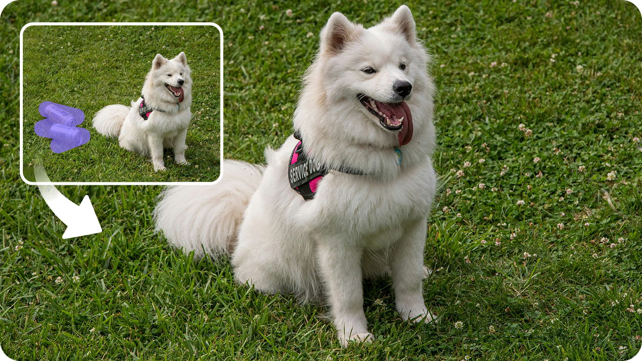 Instant AI-based object cleanup