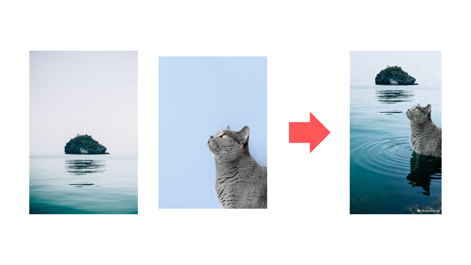 Multi-image fusion