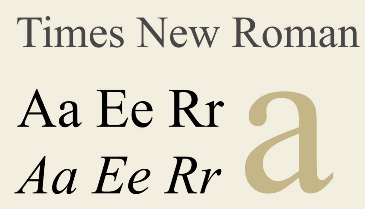 Times New Roman serif font is used in text blocks