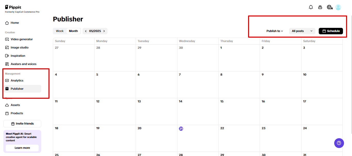 Pippit auto publisher and analytics