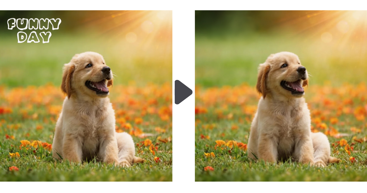 Dreamina IA Remover para remover objeto