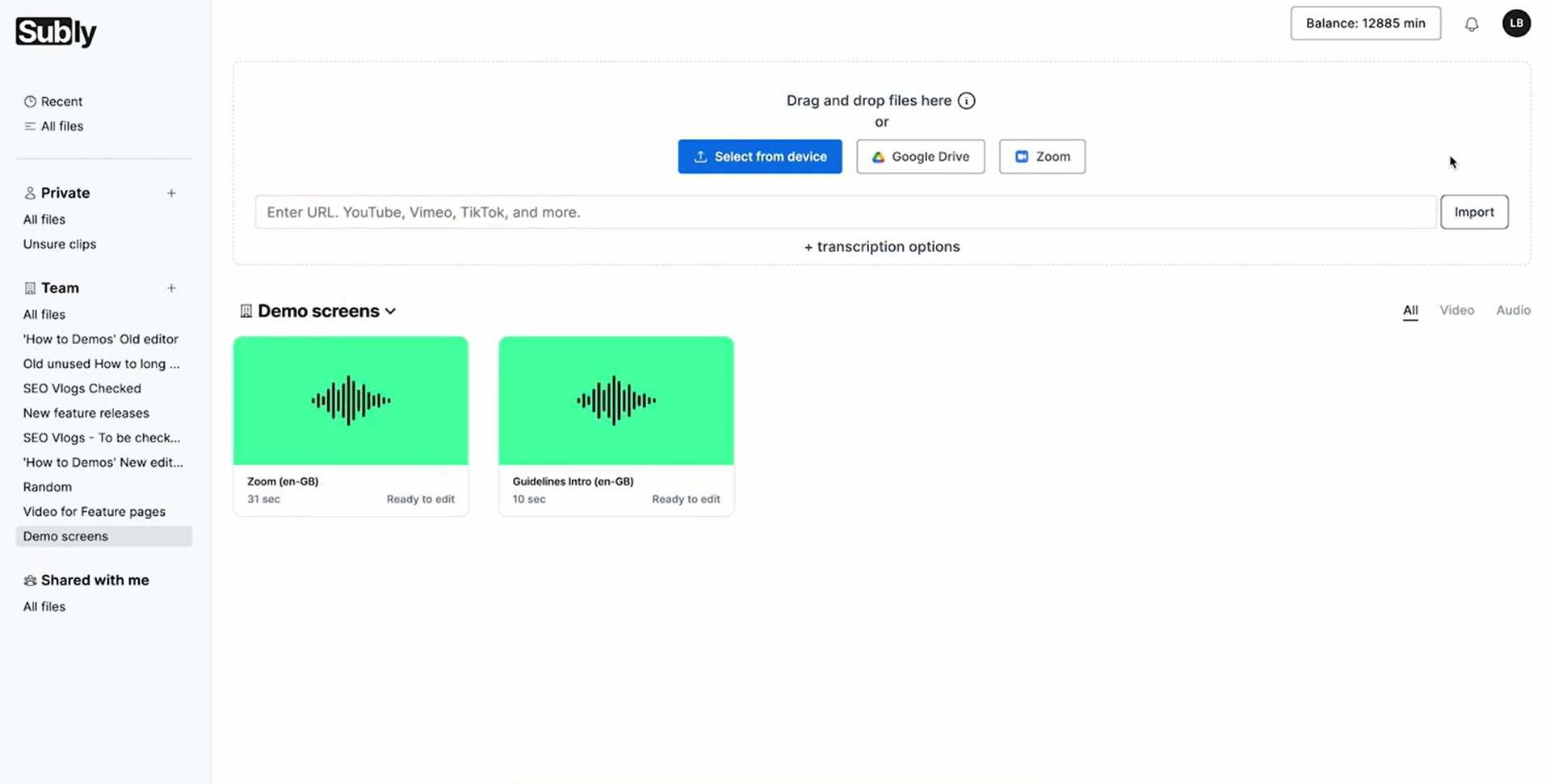 Interface of Subly - a highly rated AI audio to video generator