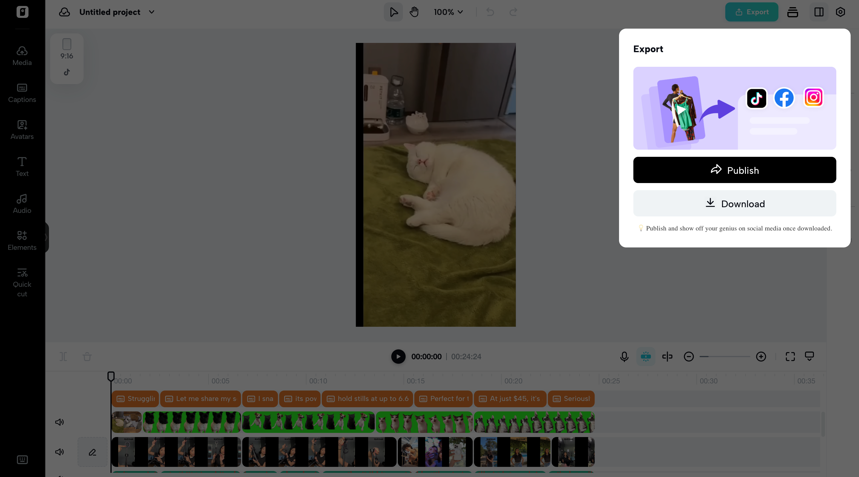Export videos from Pippit