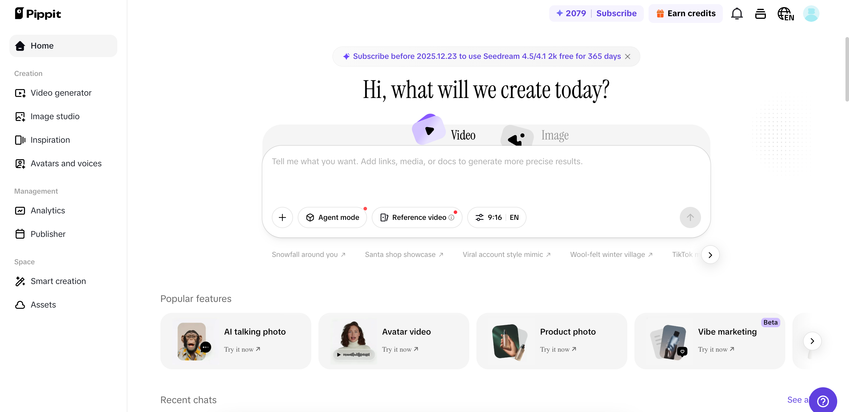 Pippit página inicial