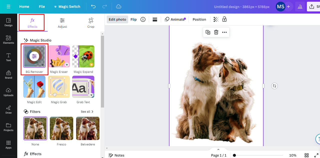 Canva background remover screenshot
