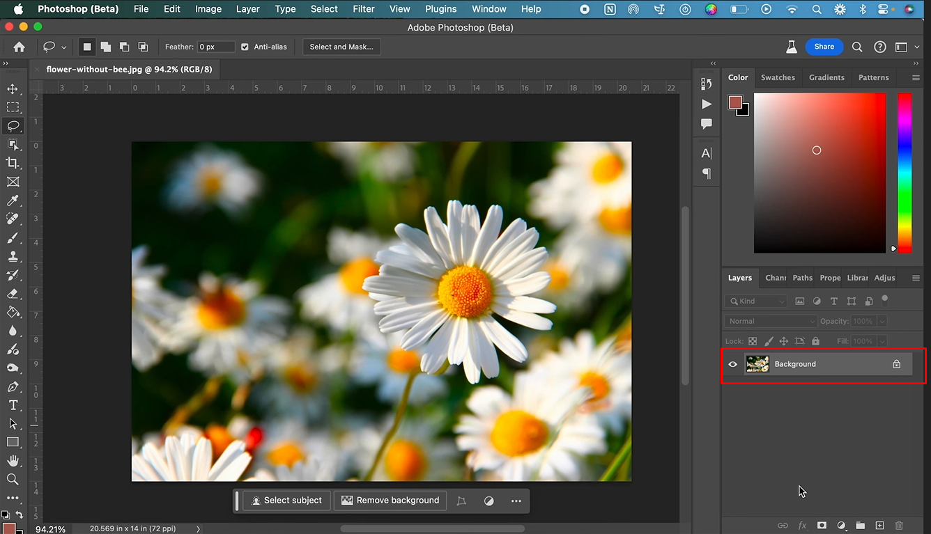 Convert image layer to Smart Object in Photoshop