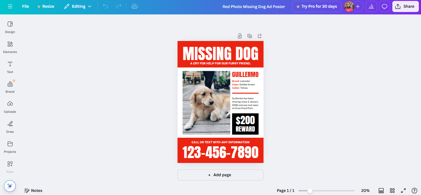 Canva Lost dog poster generator