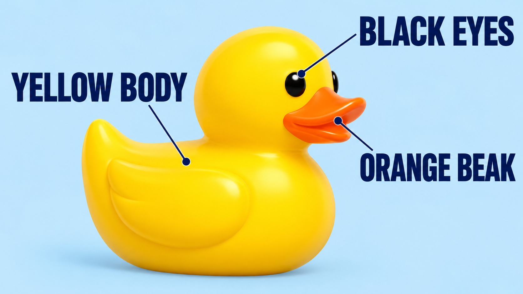 A yellow duck with labels pointing to its yellow body orange beak and black eyes