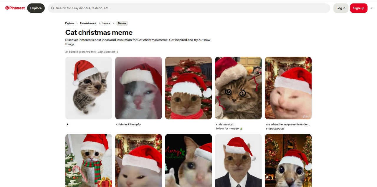 Interface of Pinterest - the best resource for Christmas cat memes 