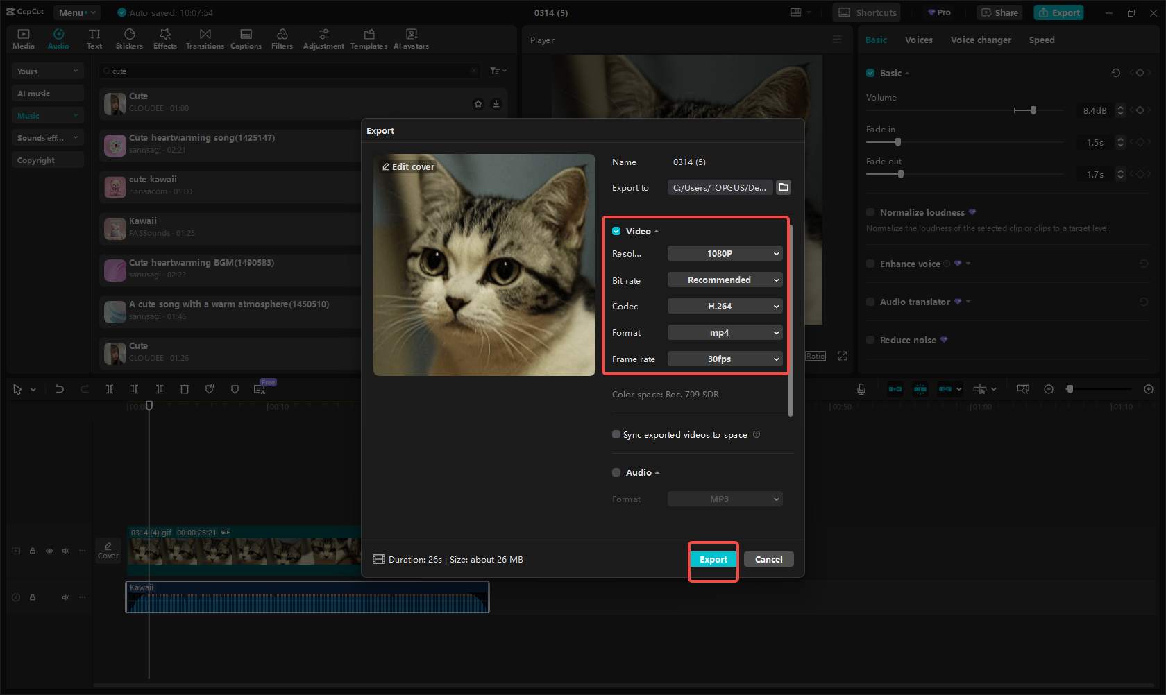 Export video with music