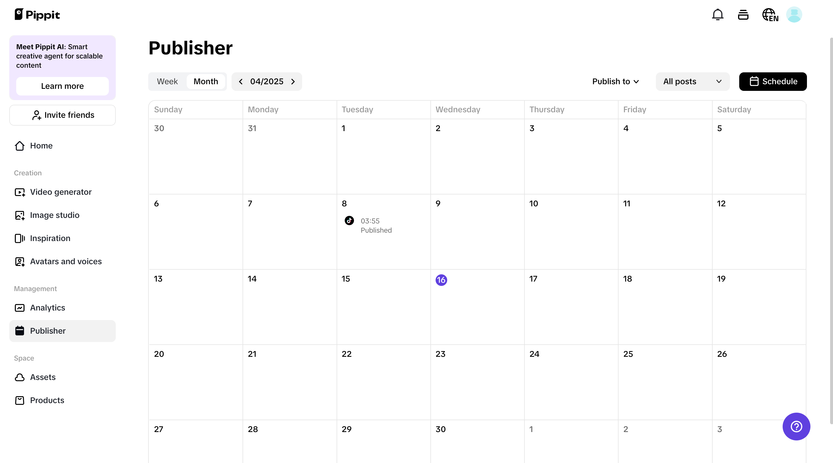 Pippit content publisher and analytics