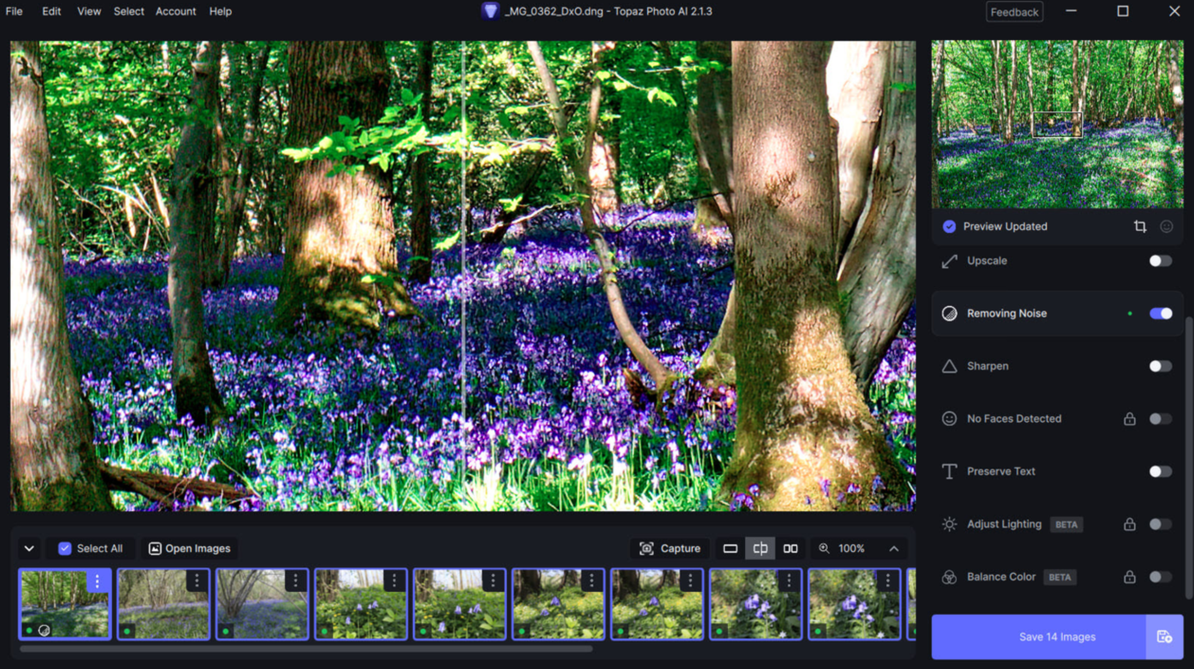 Interfaz de Topaz Photo AI