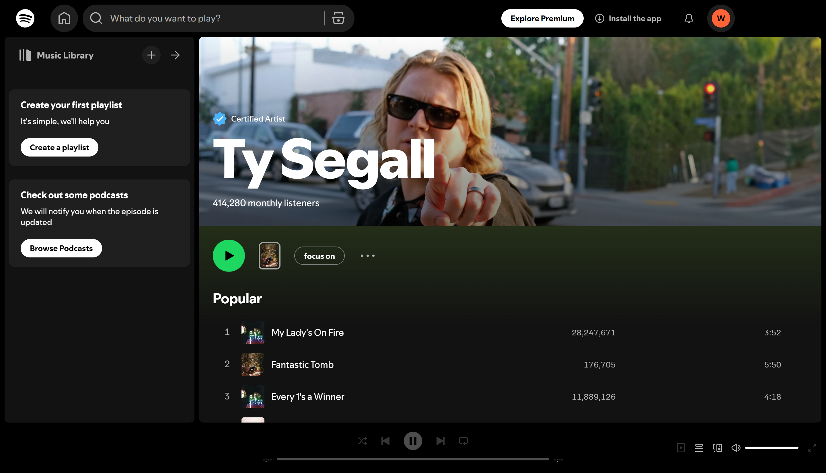 Ty Segall: Possession (to be announced)