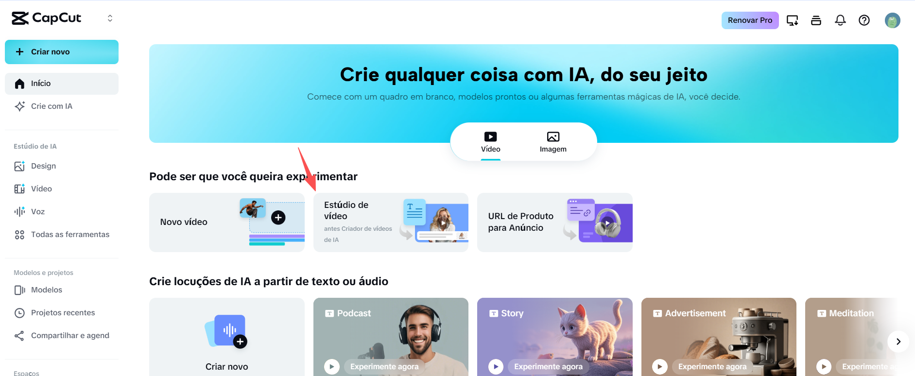 usando legendas automáticas do CapCut para um vídeo