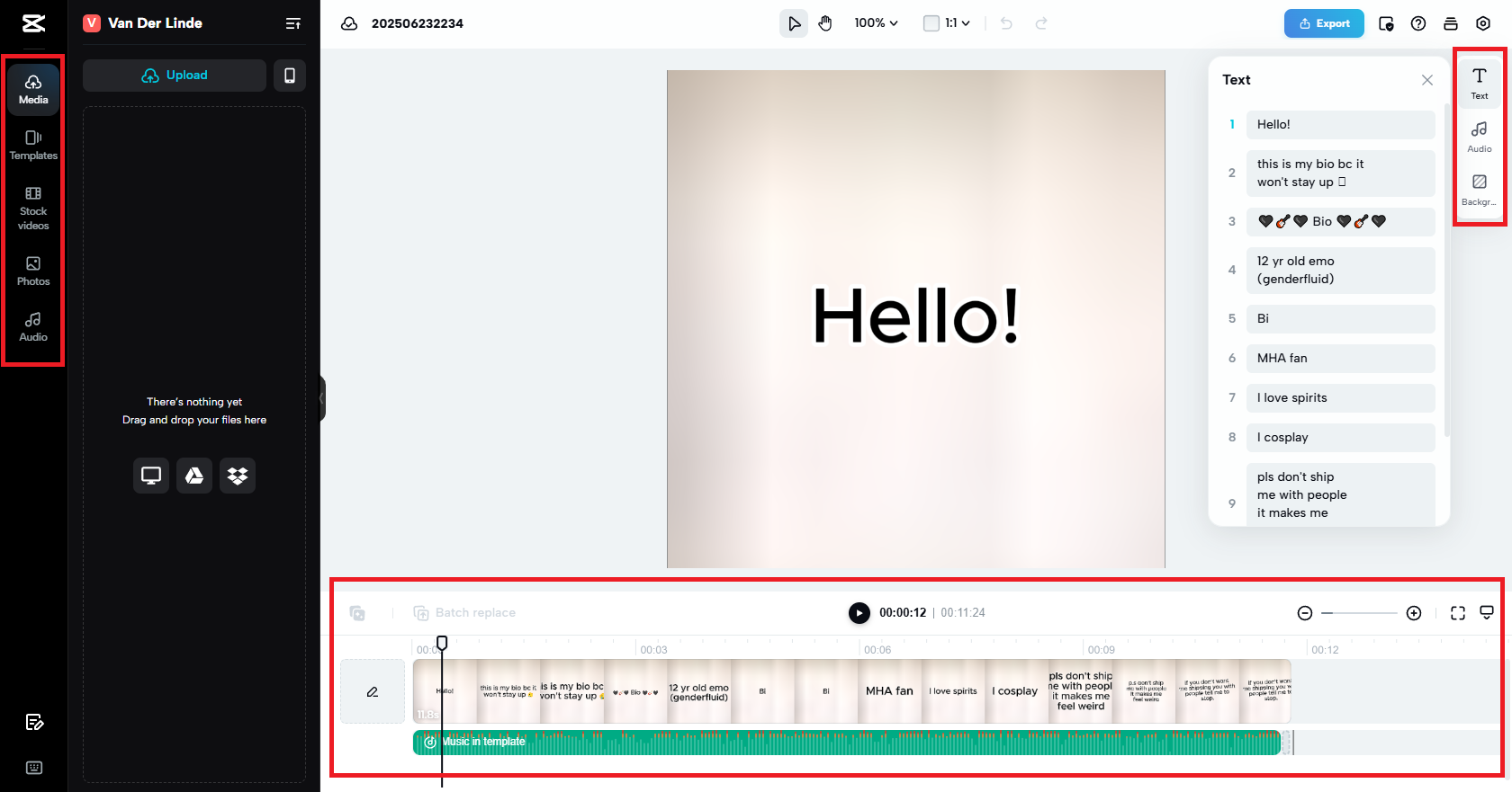 Sesuaikan video bio TikTok anda