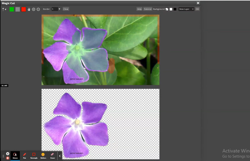 Duplicating and arranging petals in Photopea