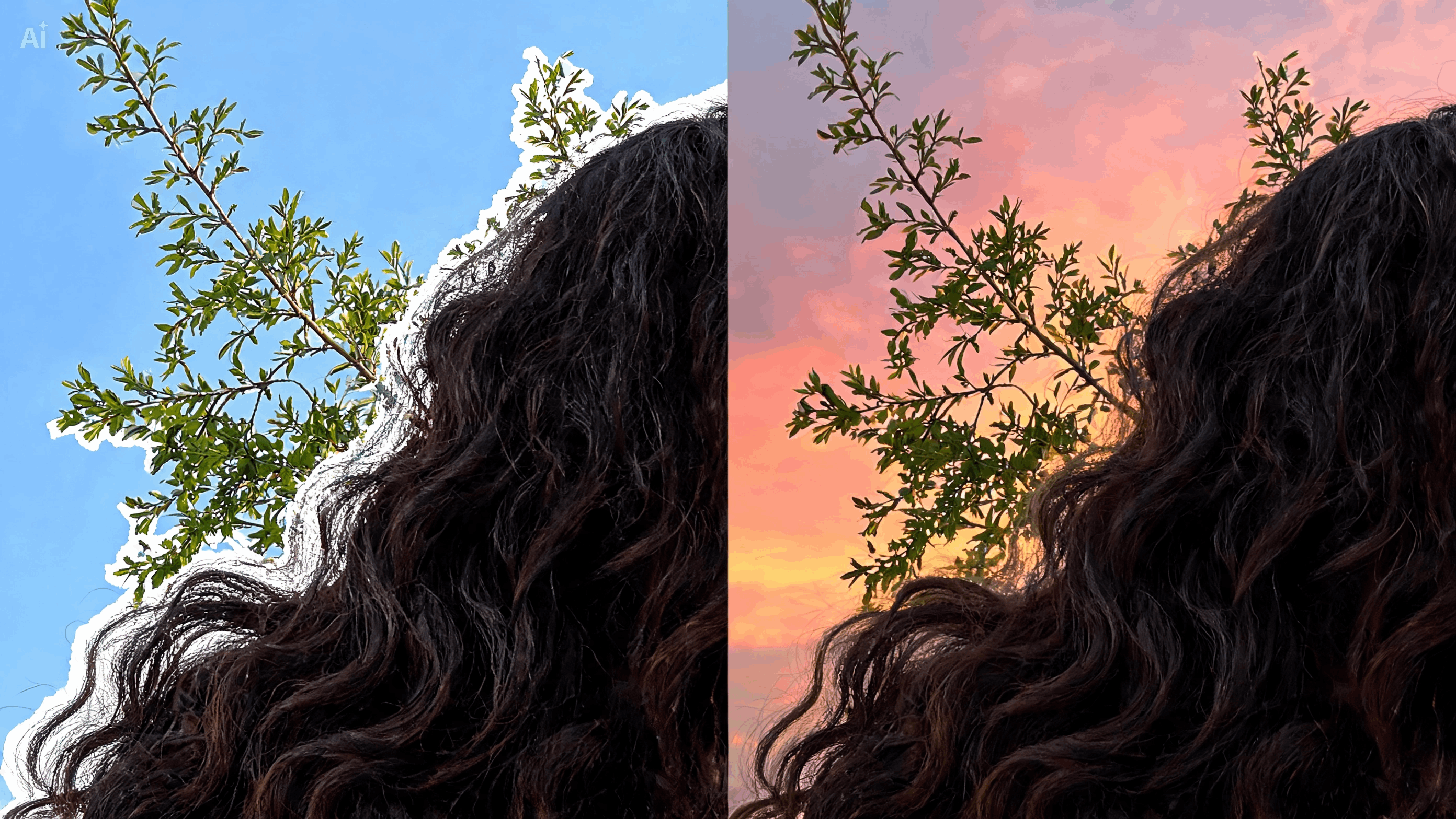 Clean Up Edges Around Hair Trees And Rooflines