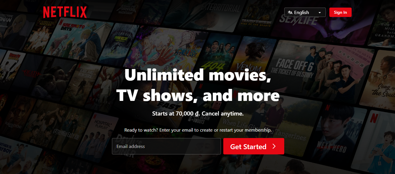 Netflix's interface