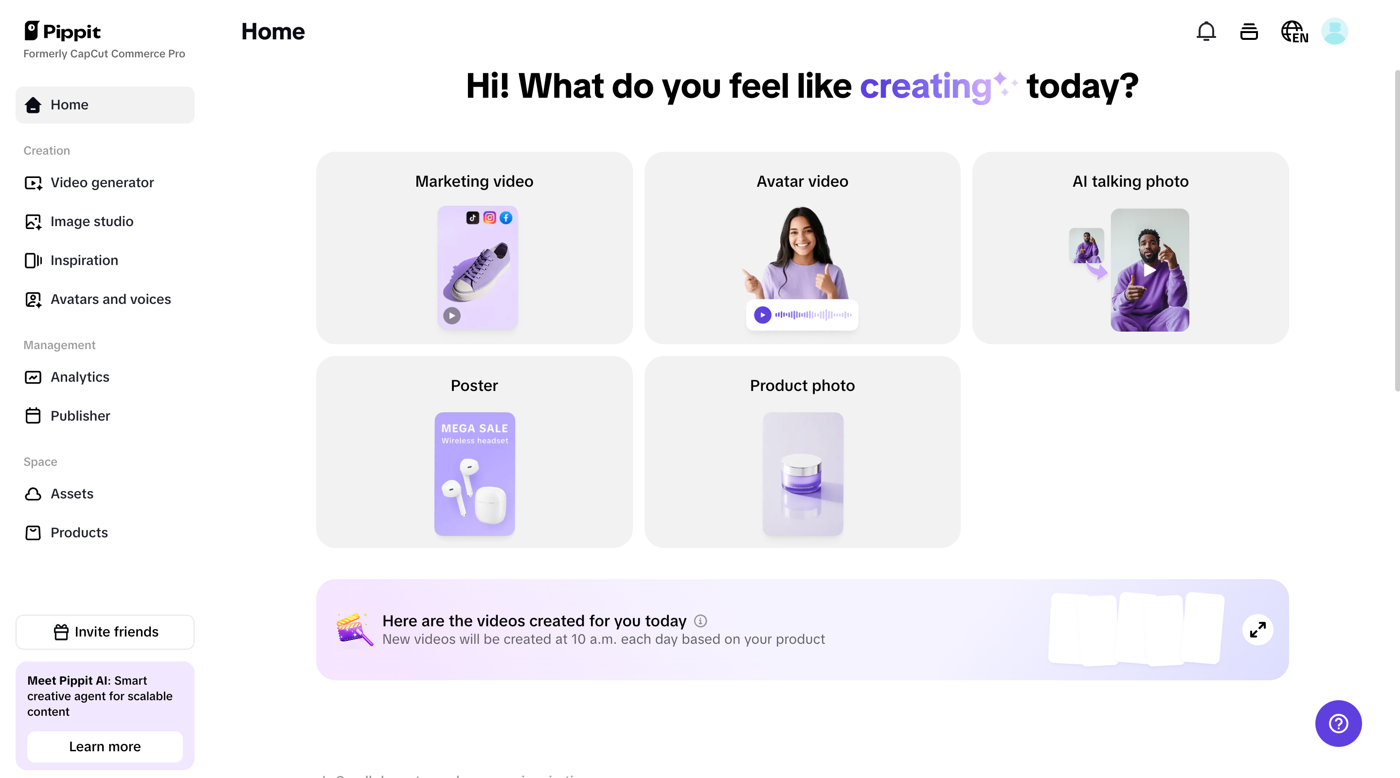 Pippit homepage