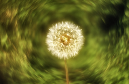 Swirly bokeh
