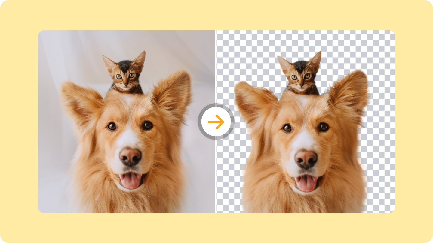 Remove Image Background And Export Transparent