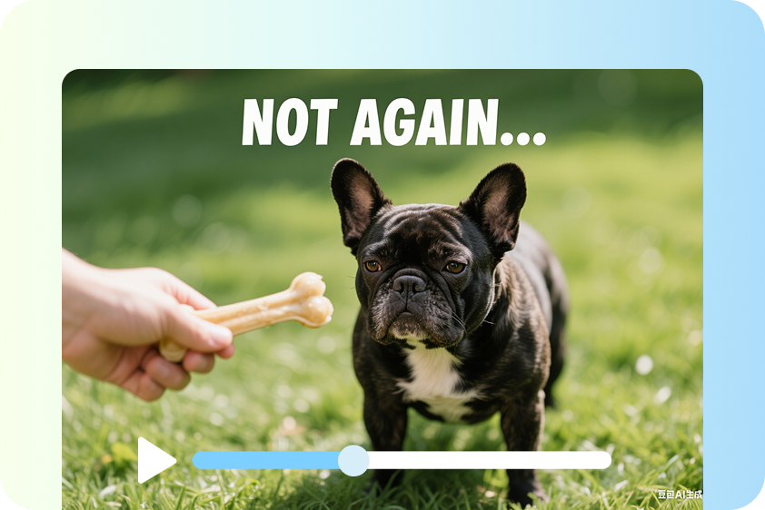 Talking dog video grabbing attention on social platforms.