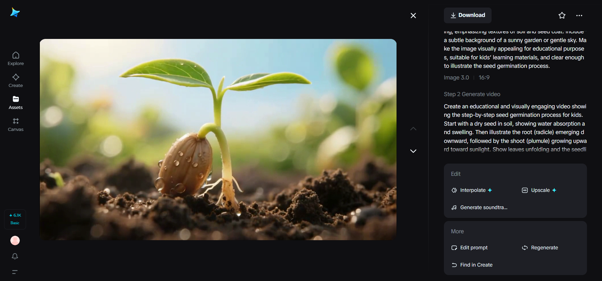 Step-by-step seed germination growth videos