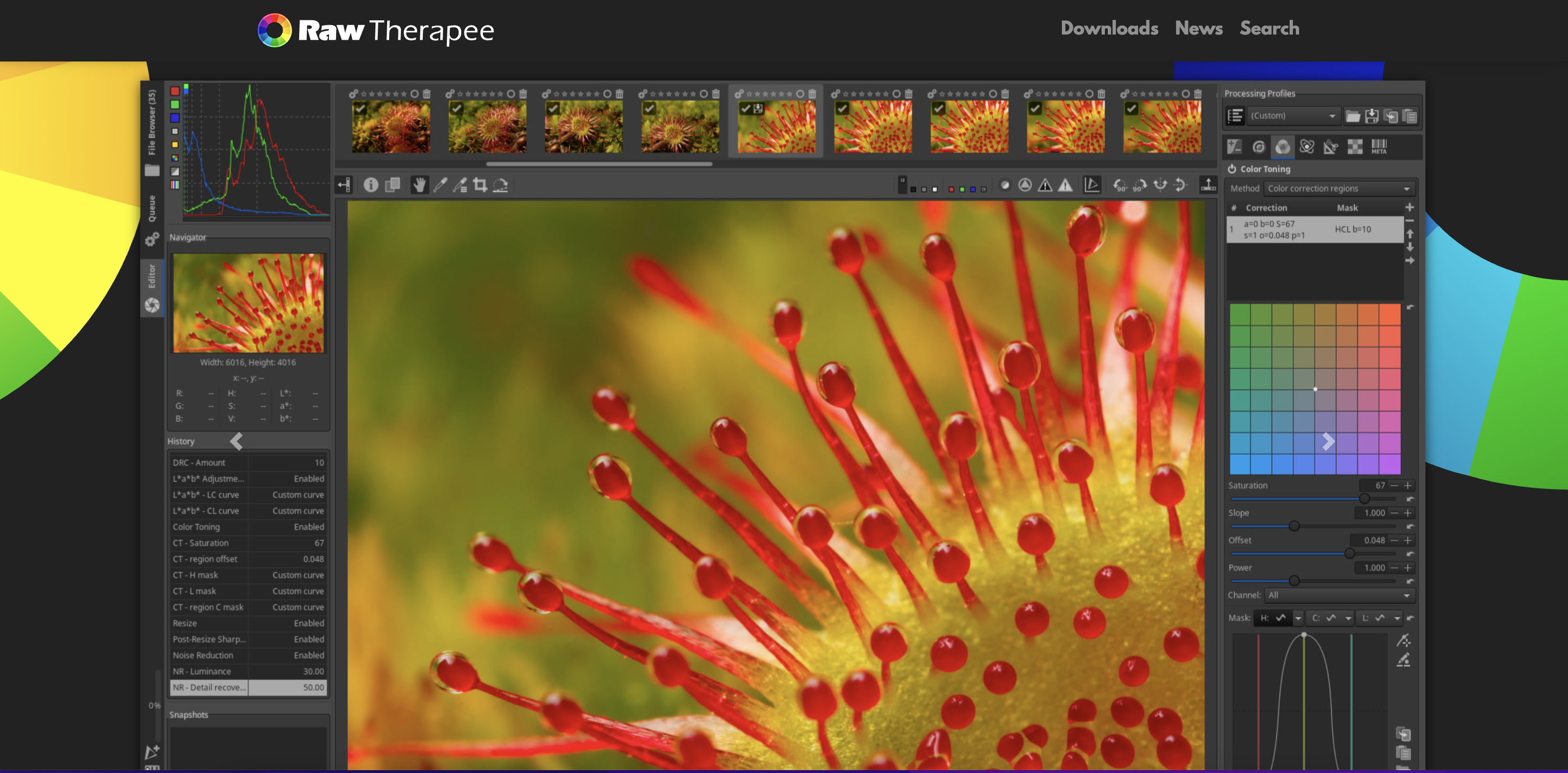 RawTherapee interface