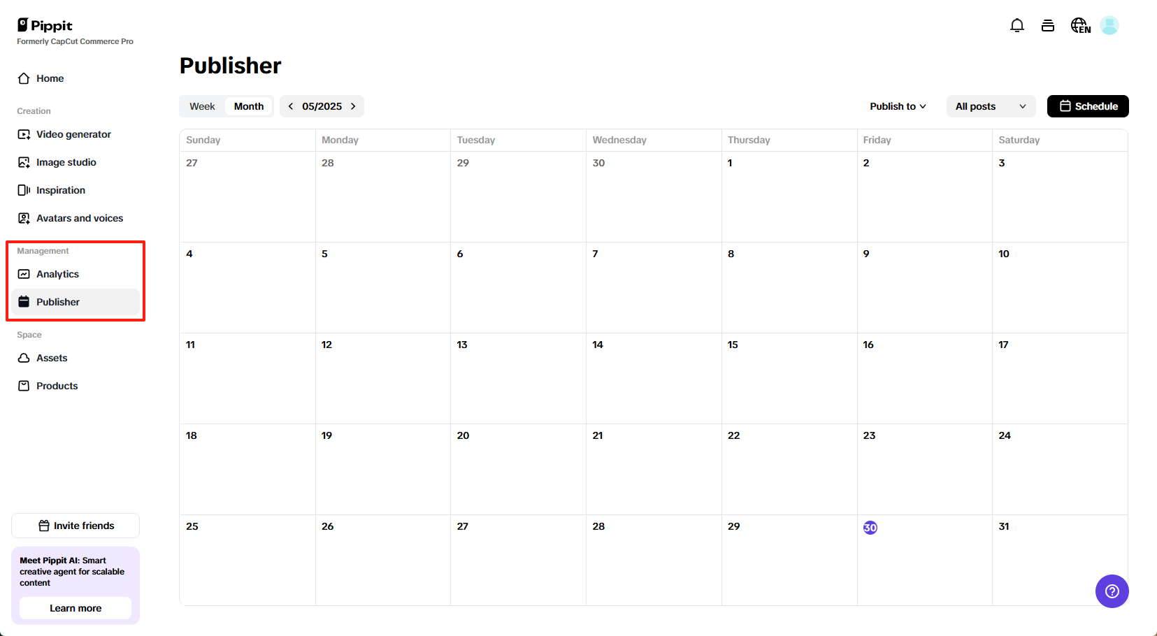 Pippit auto publisher and analytics