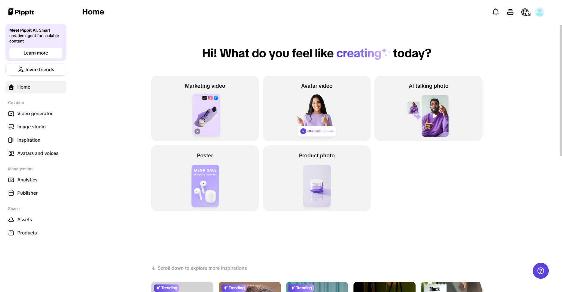 Pippit interface
