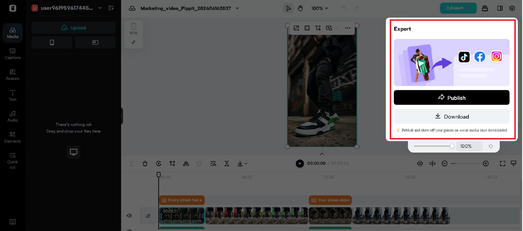 Preview and download