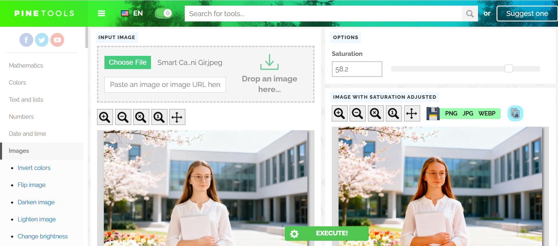 PineTools - a website to change the saturation of an image