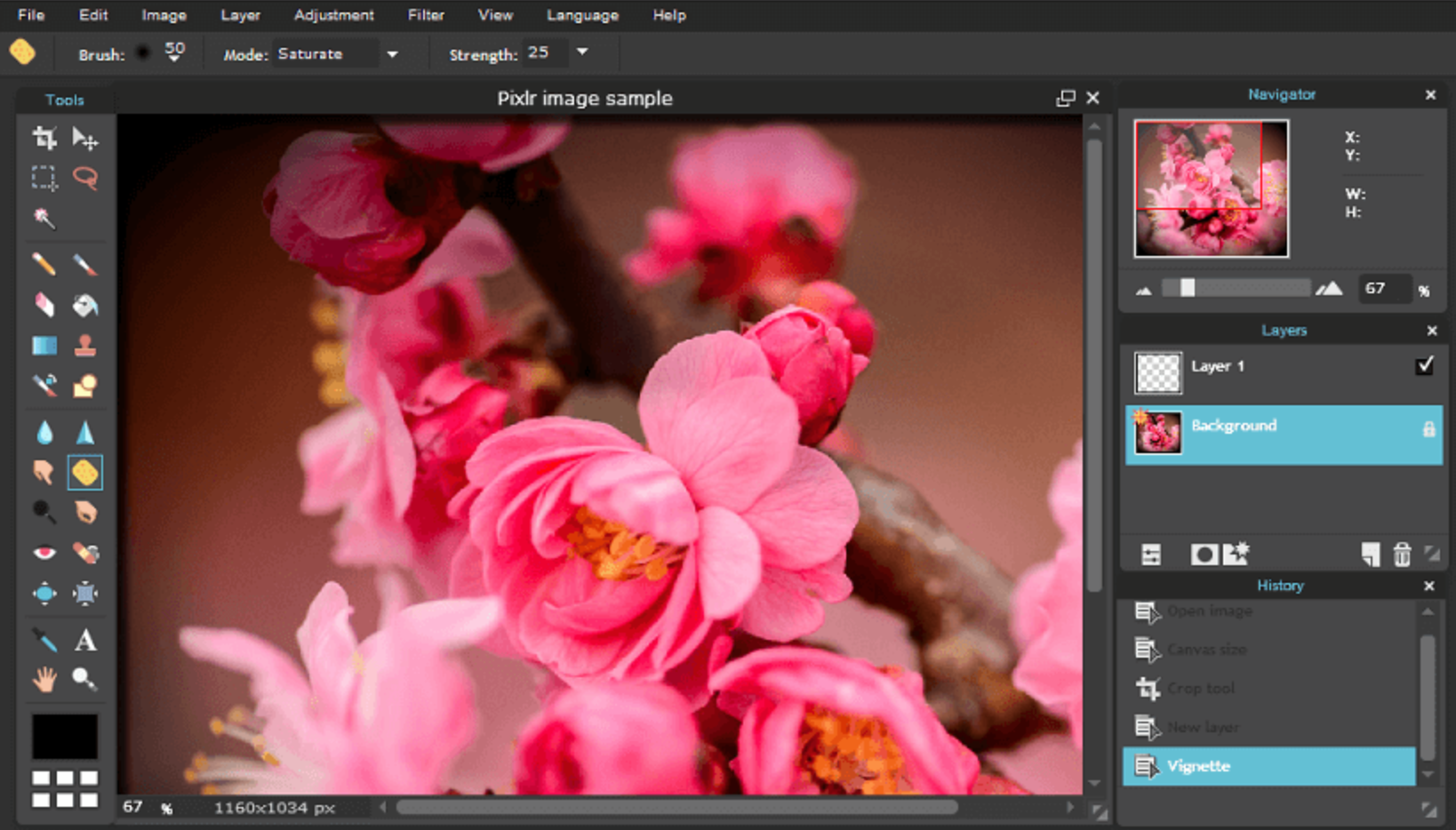 Pixlr online foto-editor