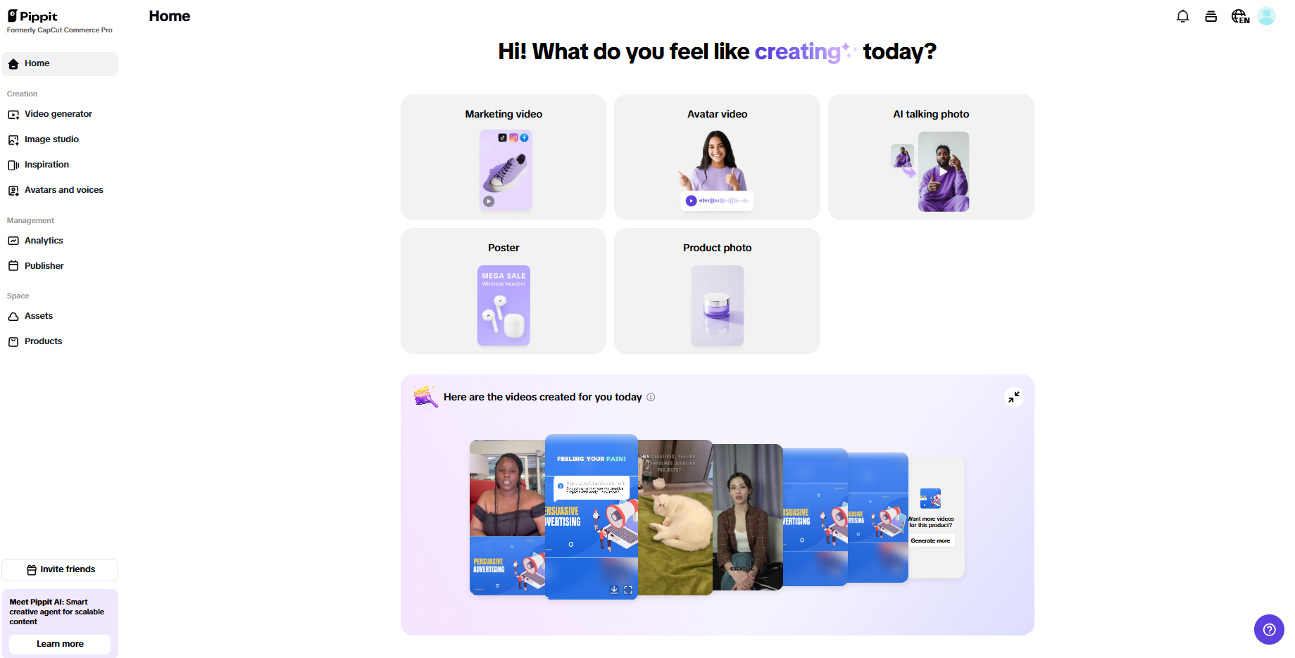 Pippit interface