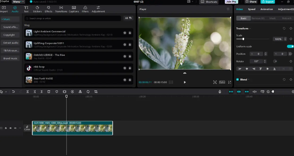 สร้างวิดีโอคาราโอเกะใน CapCut