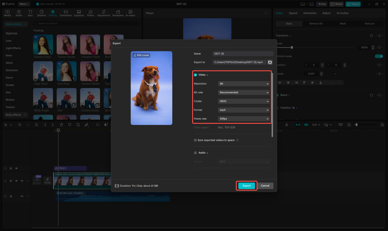 Export the video for Instagram post