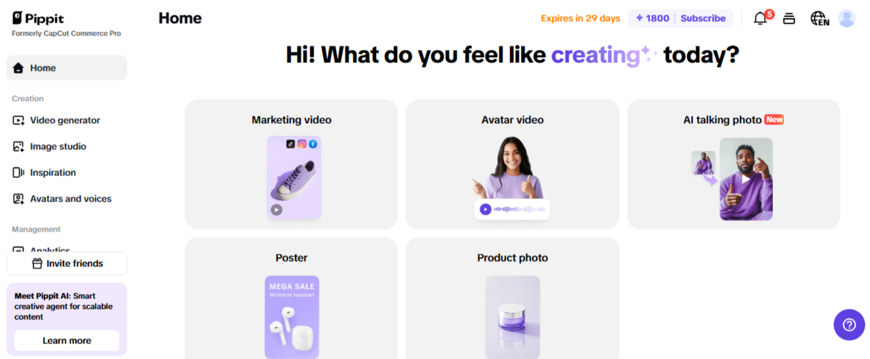 Pippit Main Interface