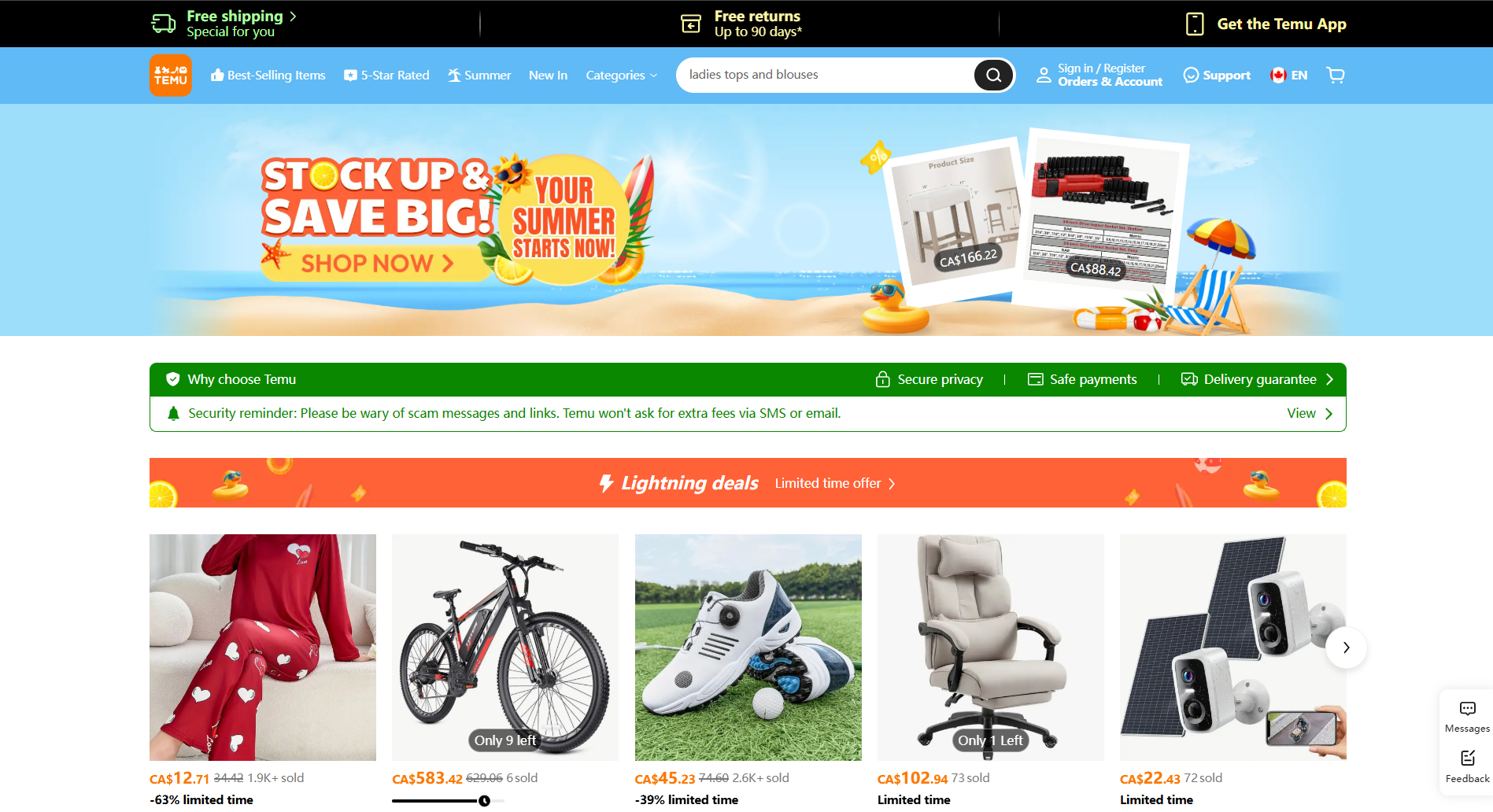Temu shopping website
