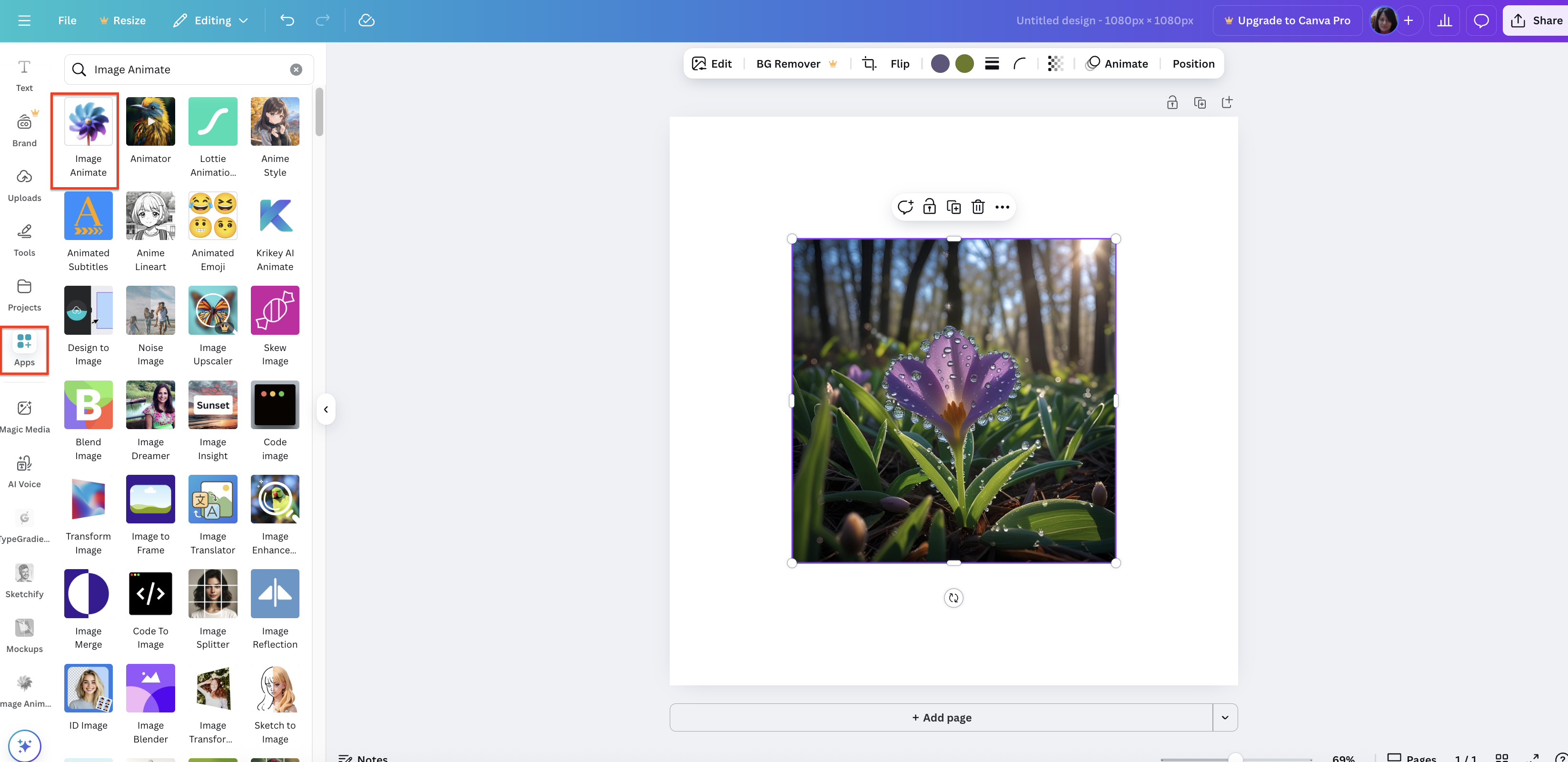 Choose animate app
