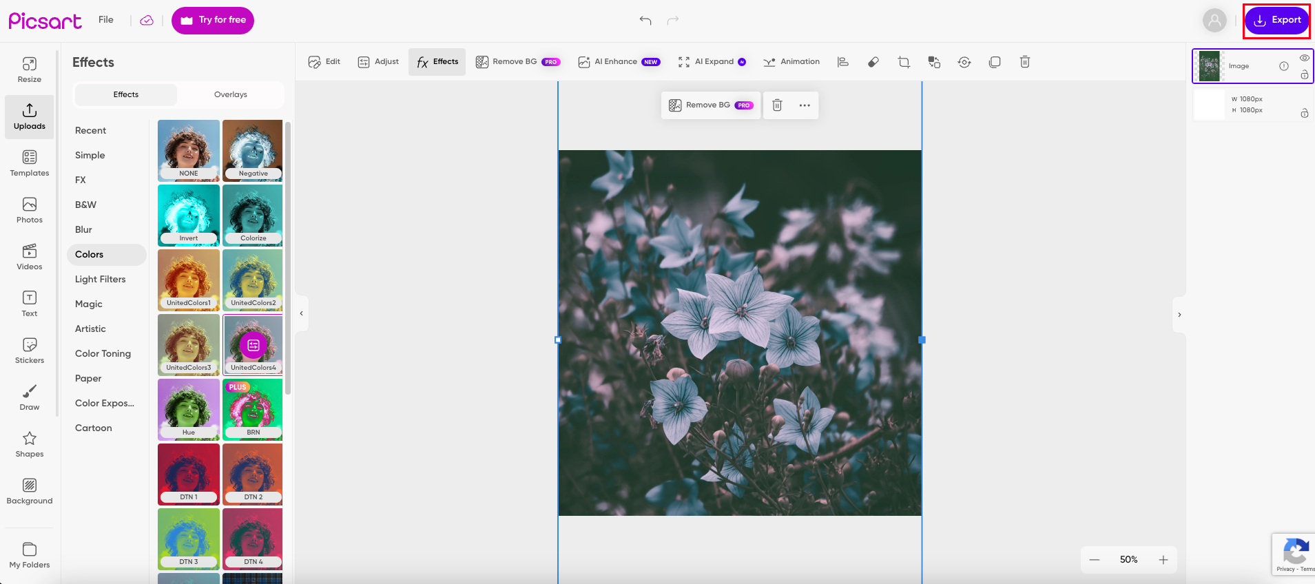 Descărcați imaginea recolorată